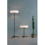 Торшер Divinare ALMA 1029/06 PN-11