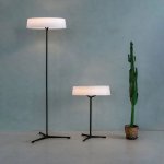 Декоративная настольная лампа Divinare ALMA 1029/06 TL-11