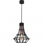 Подвесной светильник Spot Light Riana 1030196