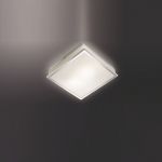 Светильник настенно-потолочный Odeon light 2537/1A TELA