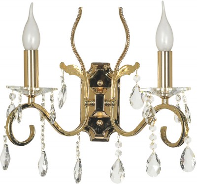 Светильник Arti Lampadari 105-A-H2-G-D01