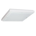 Светильник Дубравия 106-11-24/3 ПОЛИНА