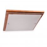 Светильник Дубравия 106-21-24/3H