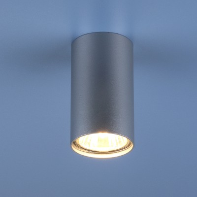 

Накладной точечный светильник 1081 (5257) GU10 SL серебряный Elektrostandard, 1081 GU10 SL серебро