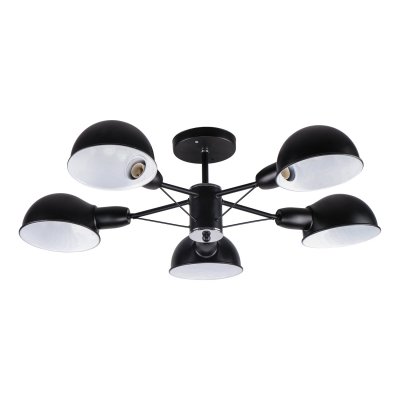 Потолочный светильник Экономсвет 10817/5BK+CR BK+WT