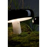 Декоративная настольная лампа Divinare DENTON 1083/06 TL-1