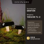 Декоративная настольная лампа Divinare DENTON 1083/06 TL-2