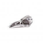 Статуэтка Wunderkammer Bird Skull