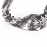 Статуэтка Wunderkammer Shark Jaw