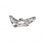 Статуэтка Wunderkammer Shark Jaw