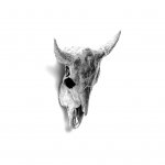 Статуэтка Wunderkammer Bison Skull