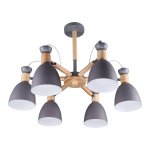 Потолочный светильник 10911/6WD+GR GR+WT Экономсвет