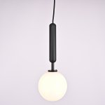 Подвесной светильник RAFFIN Black/White ImperiumLoft 109576-26