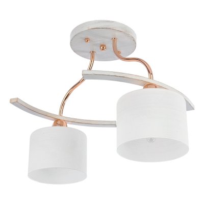 Потолочный светильник Экономсвет 11106/2A FGD+WT WT