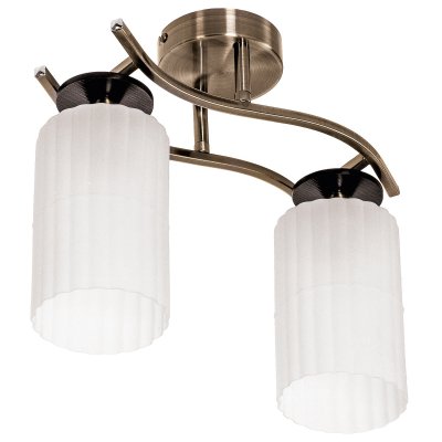 Потолочный светильник Экономсвет 11133/2AB WT