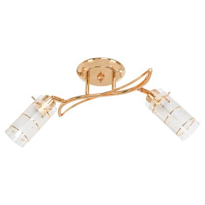 Люстра современная Экономсвет 11187/2FG WT