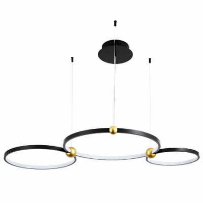

Люстра подвесная с кольцами Divinare 1123/04 SP-75 AMADEO, 1123/04 SP-75