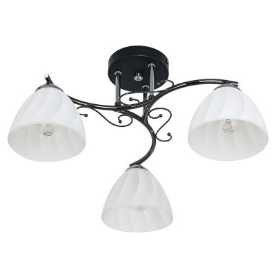 Потолочный светильник Экономсвет 11379N/3BK WT