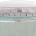 Лампа светодиодная 3W Gu10 Eglo 11427