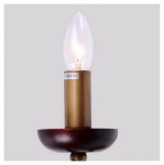 Настенный светильник Favourite 1148-1W Orpheus