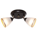 Спотовый светильник 11645/2WENGE WT ЭкономСвет