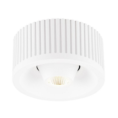 SLV 117361 COMFORT CONTROL LED, direkt, schwenkbar, weiss