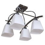 Светильник ЭкономСвет 12091/4CR+BK WT