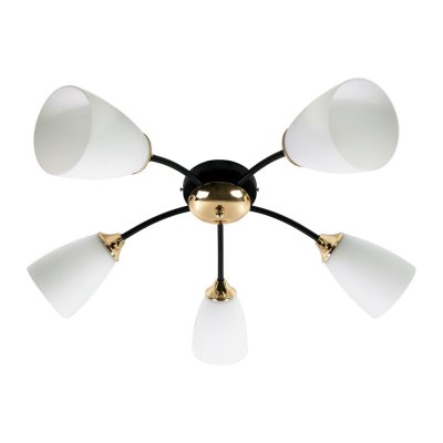 Люстра классическая Экономсвет 12123/5BK+FG WT