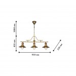 Светильник подвесной Favourite 1216-3P Sole