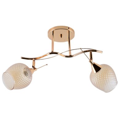 Люстра эконом 12166/2FGD TEA ЭкономСвет