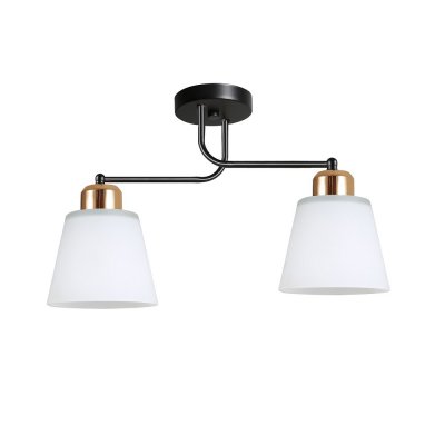 Люстра в стиле модерн 12197/2BK+GD WT ЭкономСвет Люстра в стиле модерн 12197/2BK+GD WT ЭкономСвет