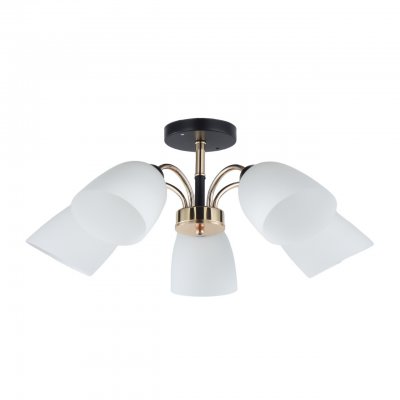 Люстра в стиле модерн 12222/5BK+FGD WT ЭкономСвет