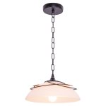 Подвесной светильник Экономсвет 12419/1PAINTING
