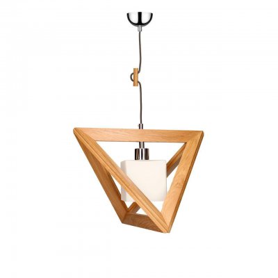 Подвесной светильник Spot Light Trigonon 1261170