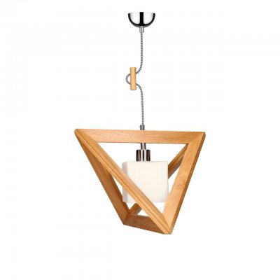 Подвесной светильник Spot Light Trigonon 1261470