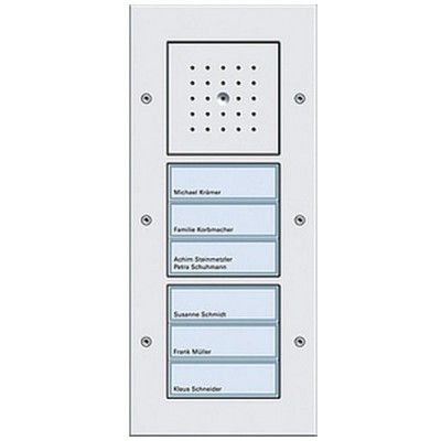 Gira TX-44 Бел Вызывная станция (аудио) наружного монтажа, на 6 абонентов, белая подсветка (G126866)