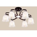 Люстра Favourite 1284-6U