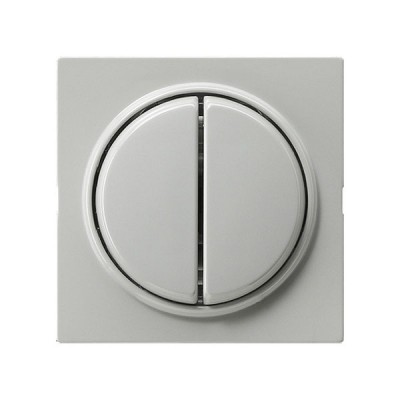 Gira S-Color Серый Переключатель 2-клавишный с самовозвратом, с 4 выходами (G12842)