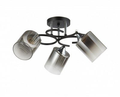 Потолочный светильник 13219/3BK SM_4 ЭкономСвет Потолочный светильник 13219/3BK SM_4 ЭкономСвет