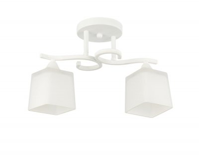 Потолочный светильник 13221/2WT WT_4 ЭкономСвет