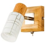 Спотовый светильник 13271/1SN+BEG WT Gerhort