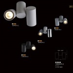 Светильник потолочный Divinare 1354/02 PL-2 GAVROCHE