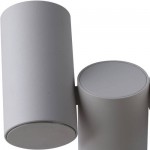 Светильник потолочный Divinare 1354/03 PL-2 GAVROCHE