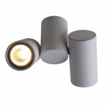 Светильник потолочный Divinare 1354/03 PL-2 GAVROCHE