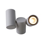 Светильник потолочный Divinare 1354/03 PL-2 GAVROCHE