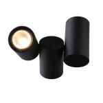 Светильник потолочный Divinare 1354/04 PL-2 GAVROCHE