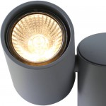 Светильник потолочный Divinare 1354/05 PL-2 GAVROCHE