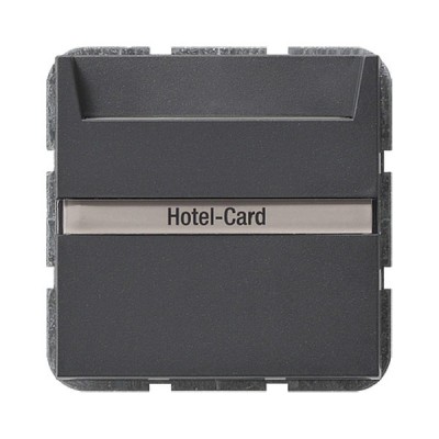 Gira S-55 Антрацит Выключатель карточный, с полем для надписи и защитой от демонтажа (G14028)