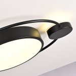 Потолочный светильник DESTIN D40 Black ImperiumLoft 140641-26