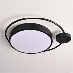 Потолочный светильник DESTIN D40 Black ImperiumLoft 140641-26
